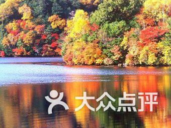 想告诉全世界这个板栗烧鸡真的巨巨巨好吃!