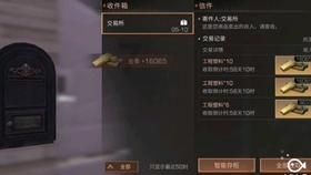 可爱的小考拉