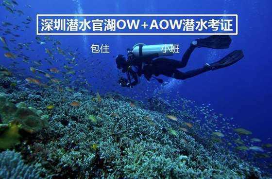 阿里、腾讯、字节跳动等入场，群雄逐鹿，“淘金”万亿汽车后市场