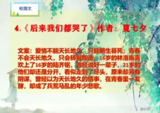 以撒的结合：胎衣