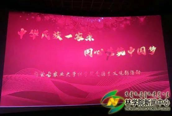 小金毛傻乎乎跟主人走丢,女孩再次看见狗狗后气愤不已
