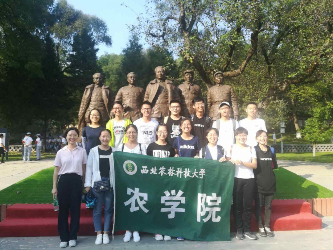 投资诈骗!甘肃公检联合喊话:投资过这12部电影的赶紧报案