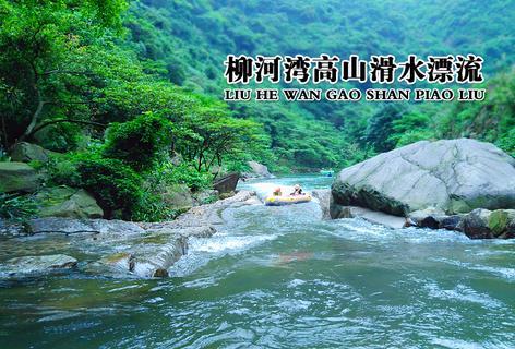 大花园植物逃生