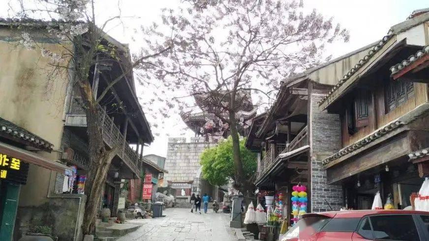 从华新到青浦新胜路怎么坐车